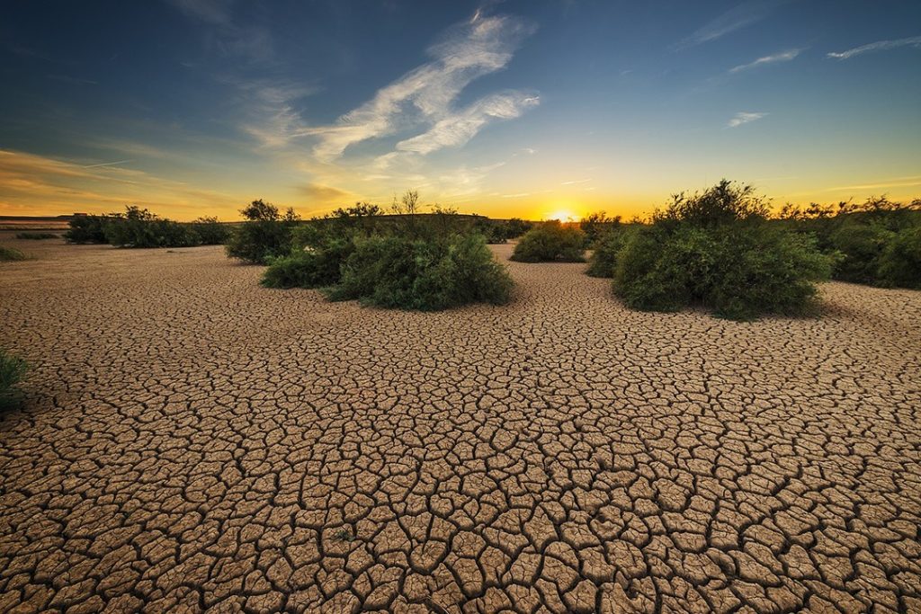 Barren land from soil pollution