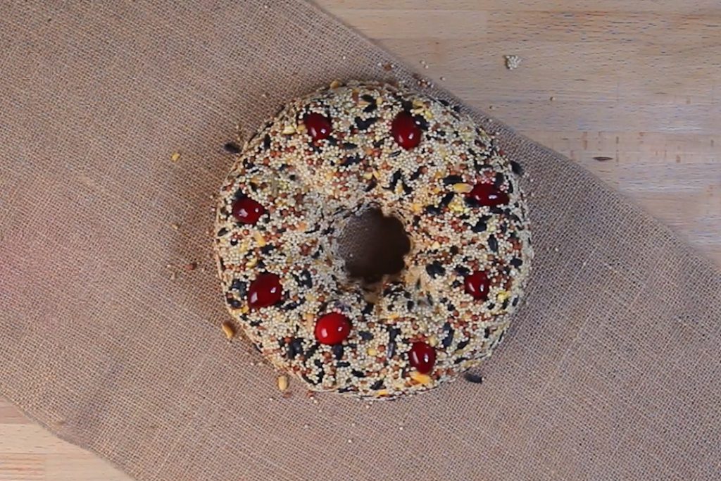 bird seed wreath