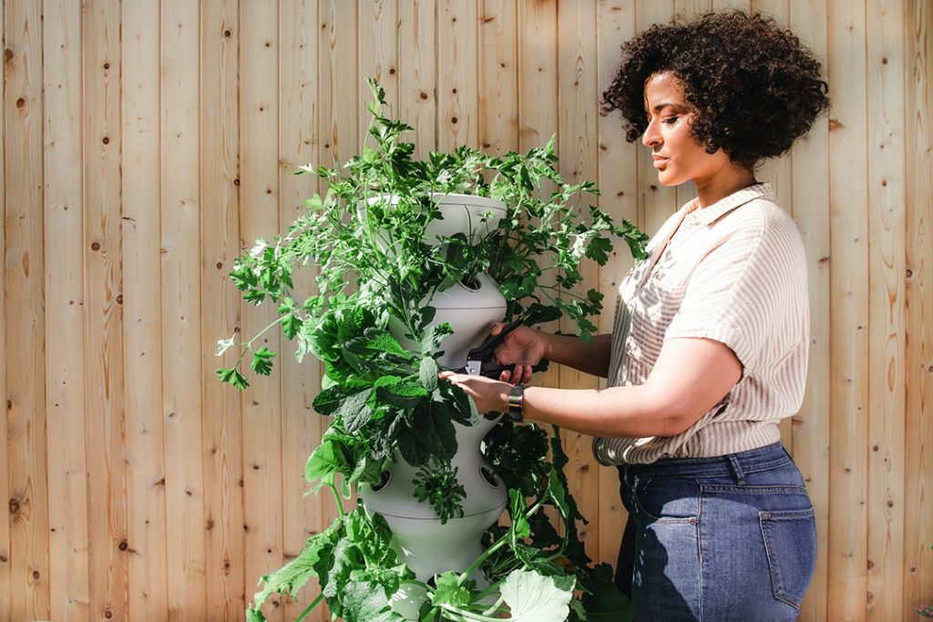 Ways to be environmentally-friendly during the pandemic Ways to be environmentally-friendly during the pandemic